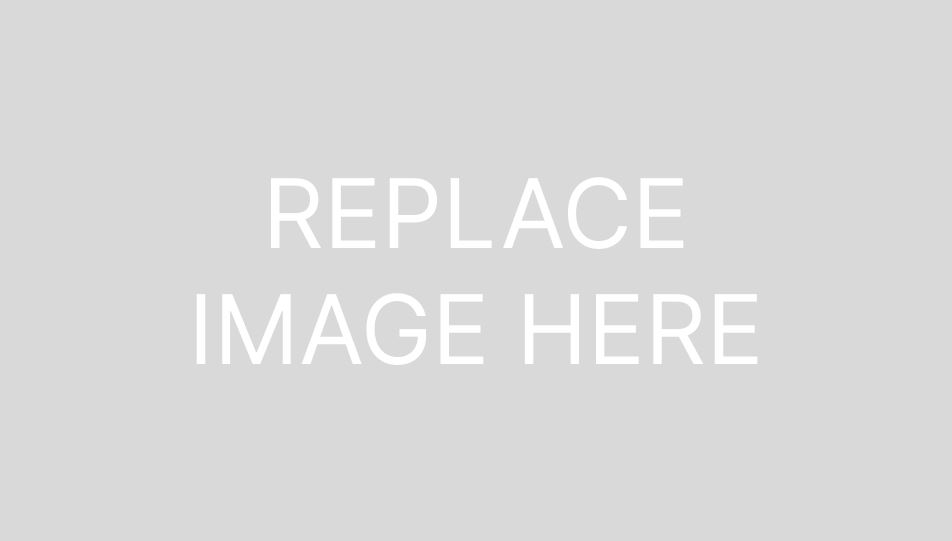 Replace image here