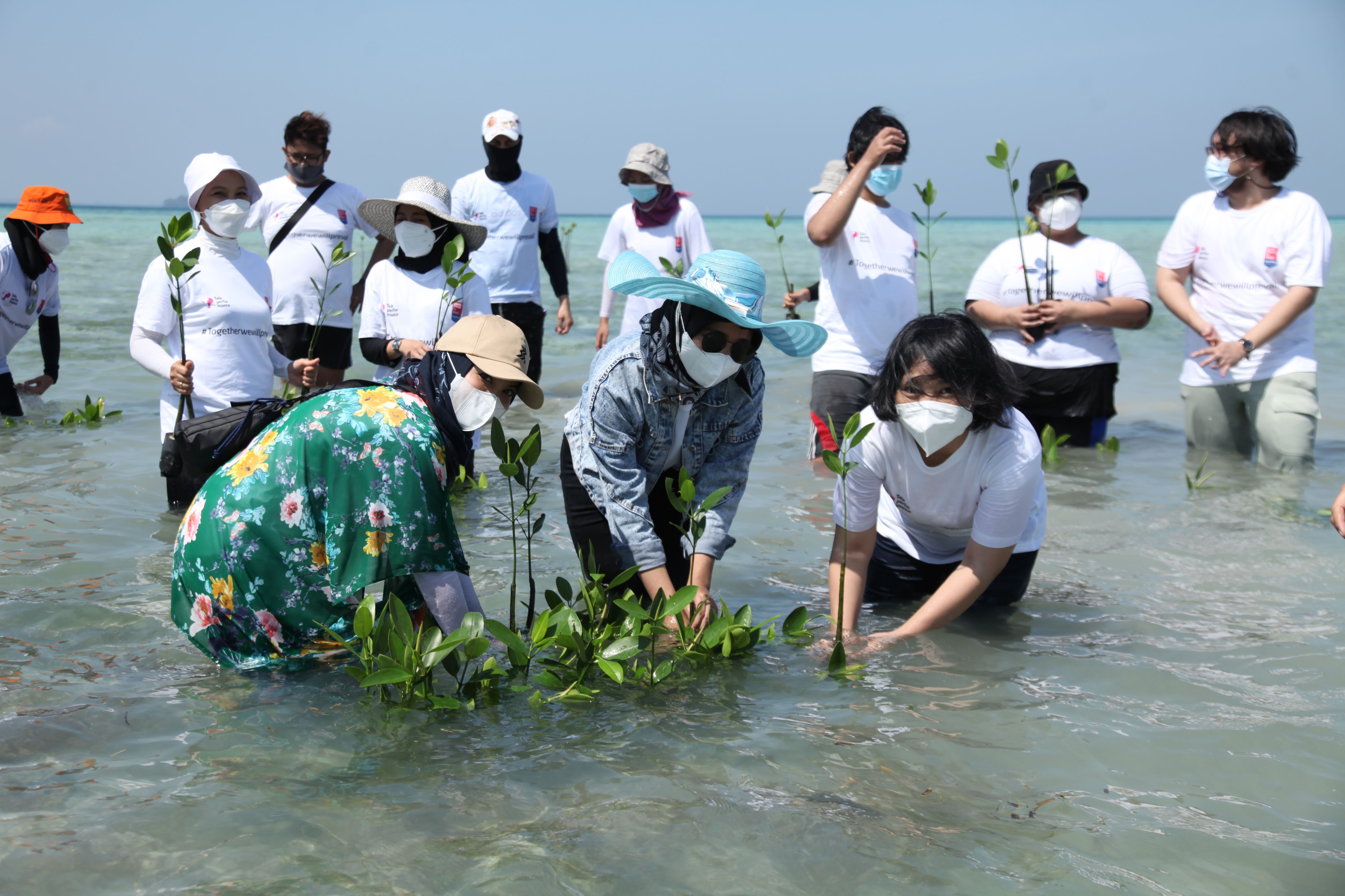(Mangrove Indonesia) Biodiversity Indonesia